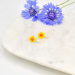 Porcelain Narcissus Pearl Drop Earring